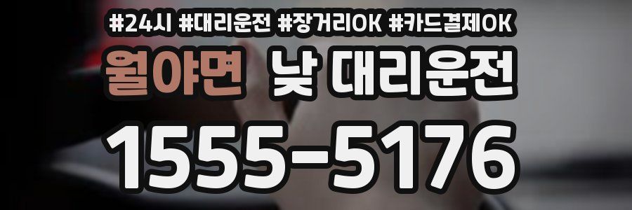 월야면 낮 대리운전