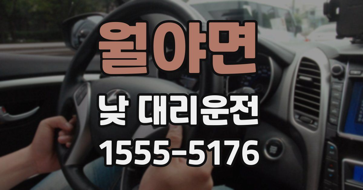 월야면 낮 대리운전