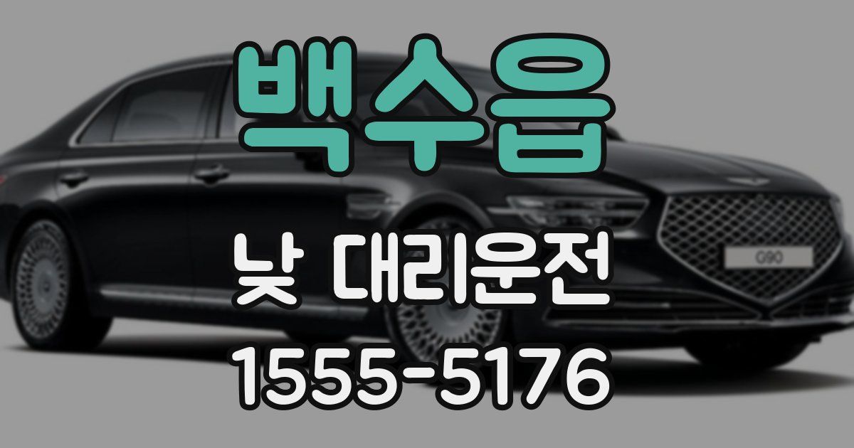 백수읍 낮 대리운전
