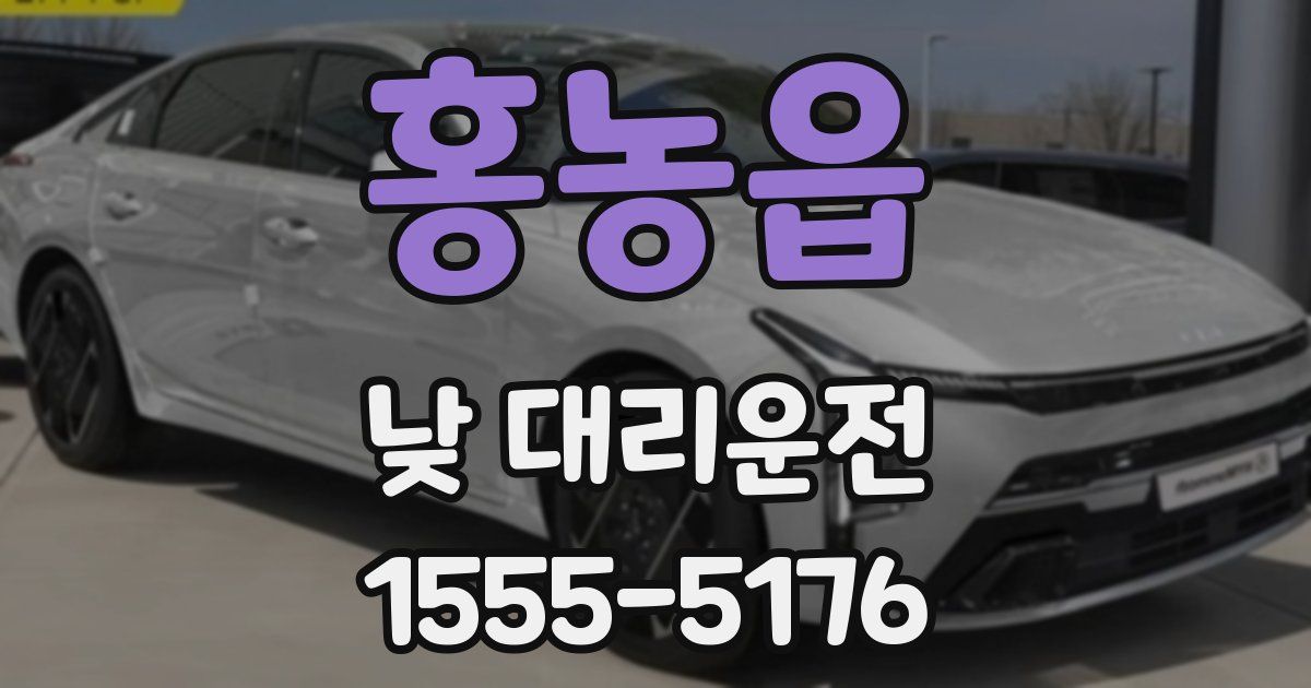 홍농읍 낮 대리운전