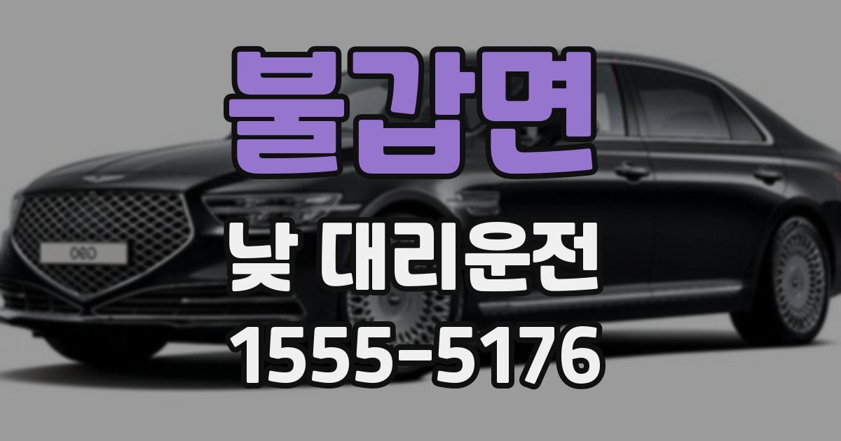 불갑면 낮 대리운전