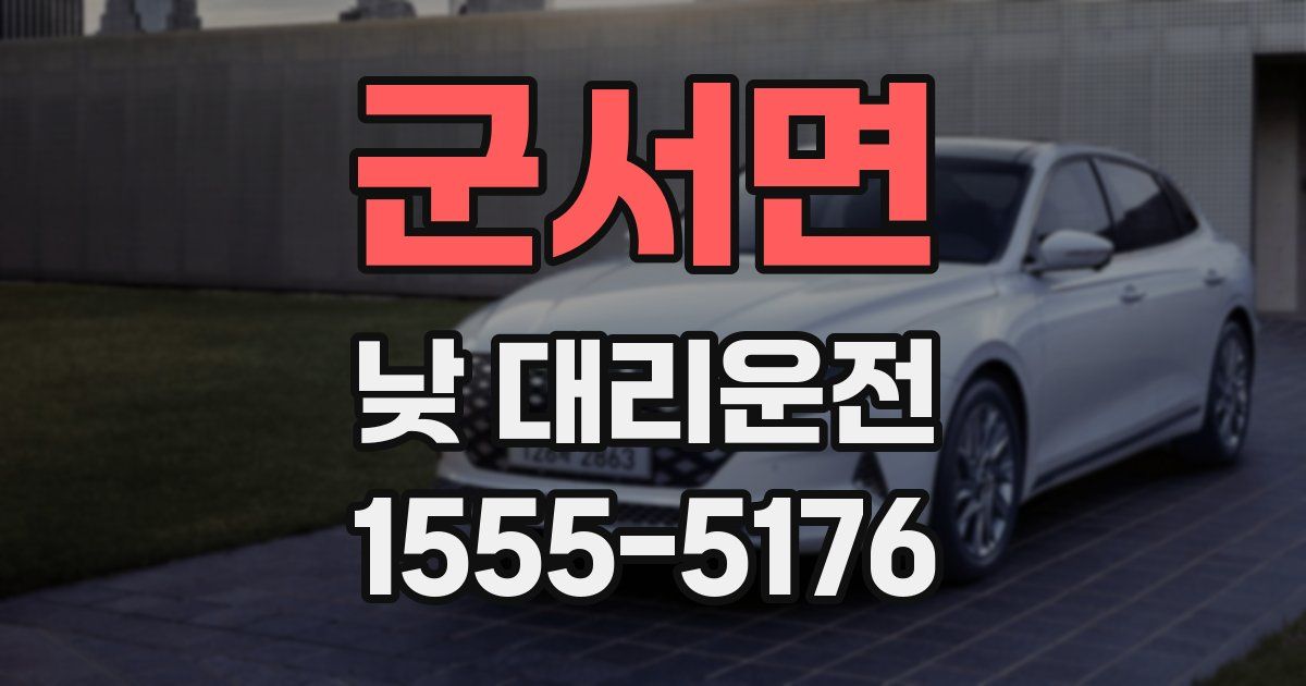 군서면 낮 대리운전