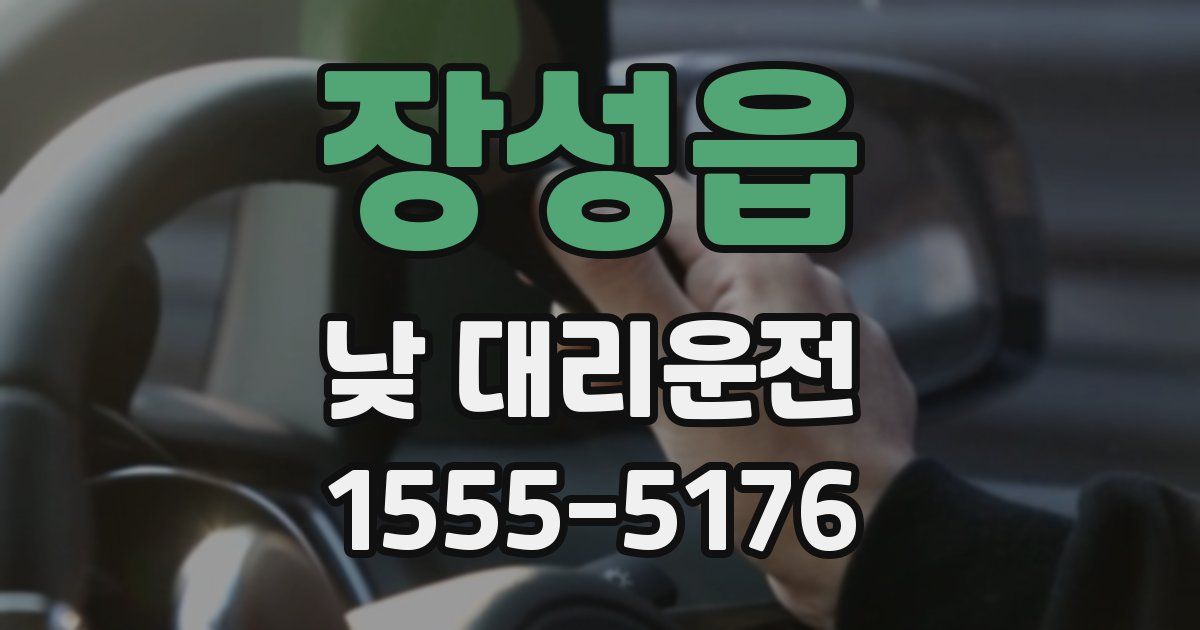 장성읍 낮 대리운전