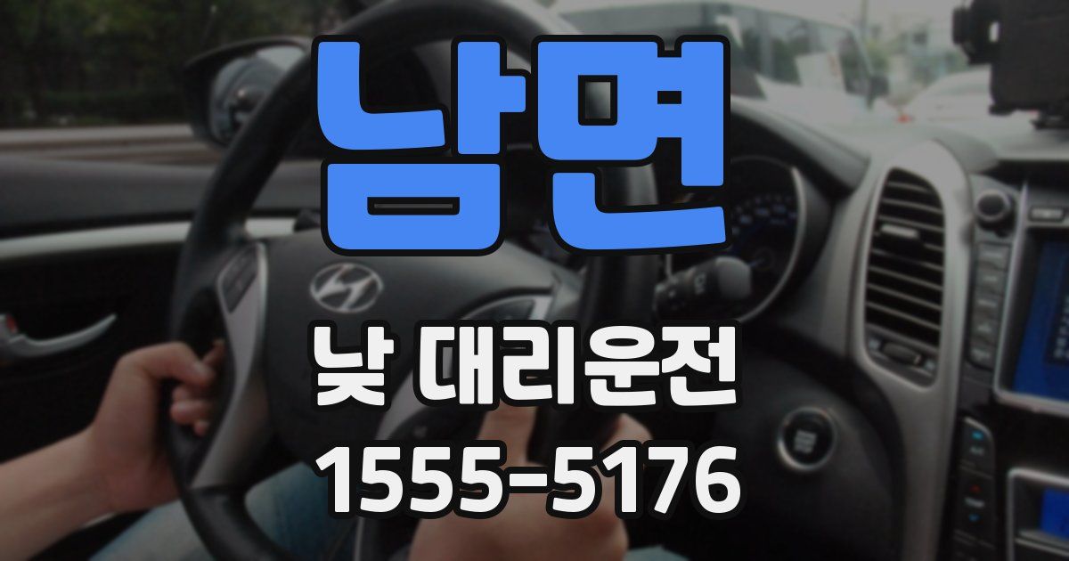 남면 낮 대리운전