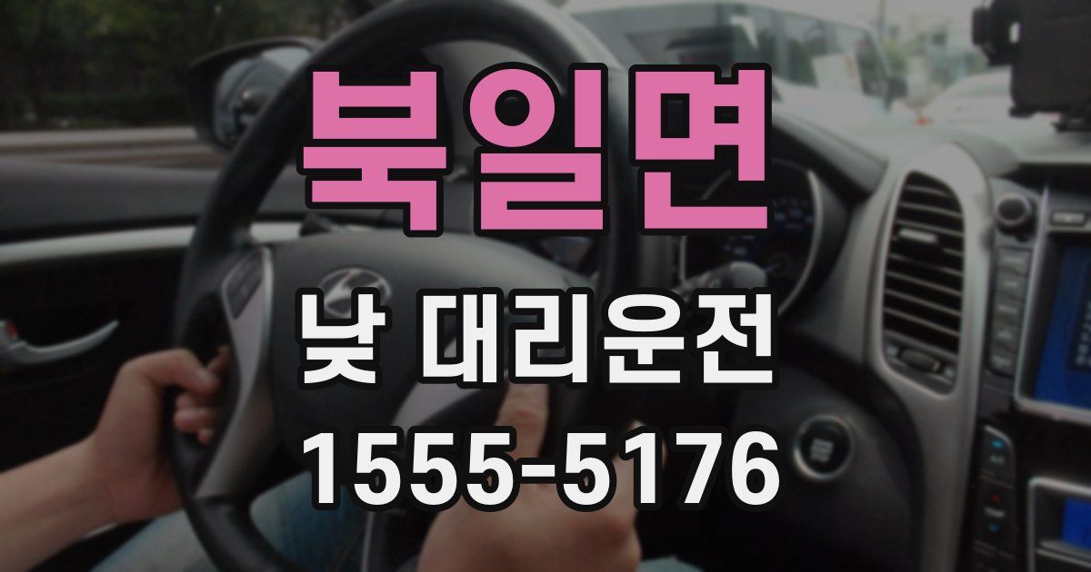 북일면 낮 대리운전