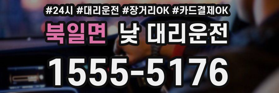 북일면 낮 대리운전
