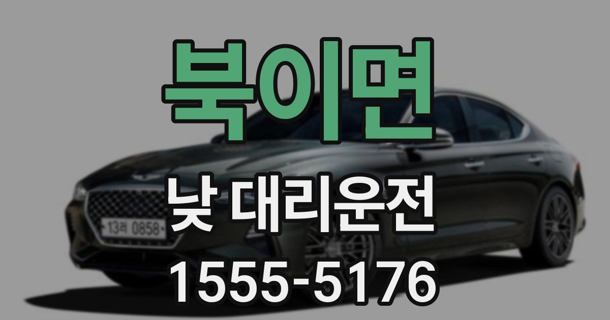 북이면 낮 대리운전