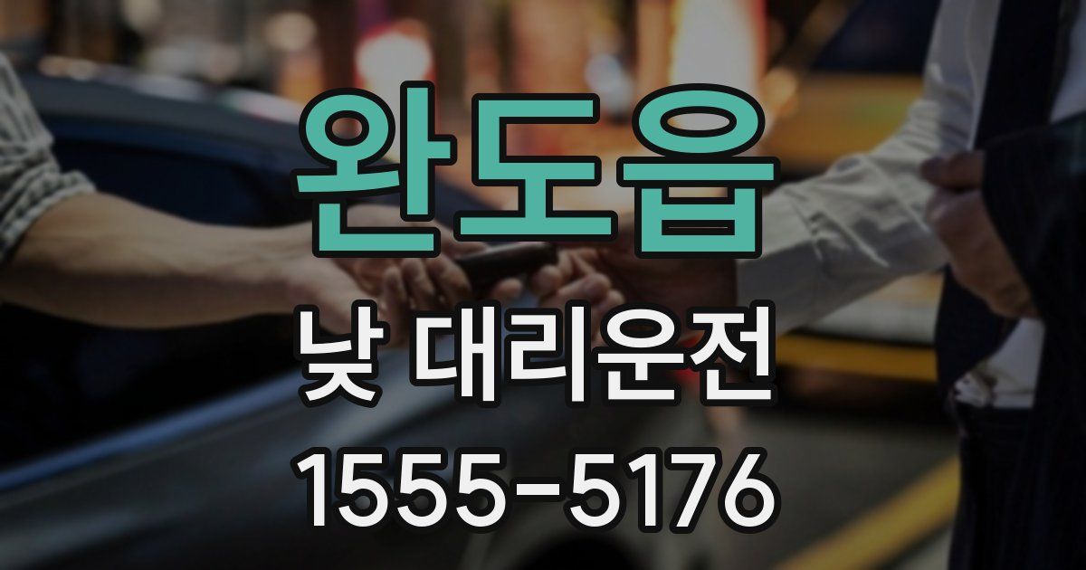 완도읍 낮 대리운전