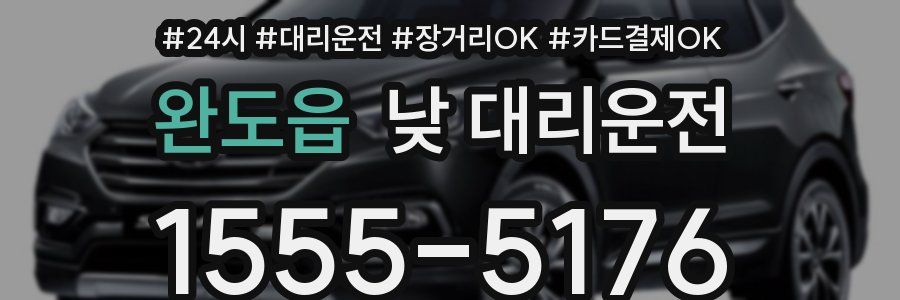 완도읍 낮 대리운전