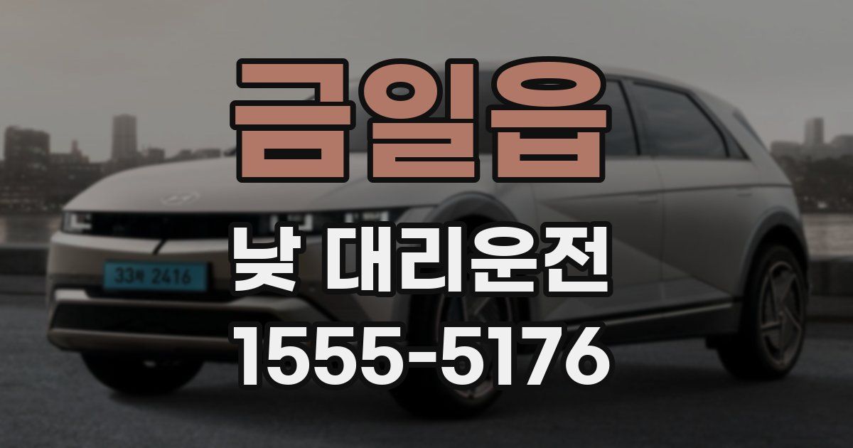 금일읍 낮 대리운전