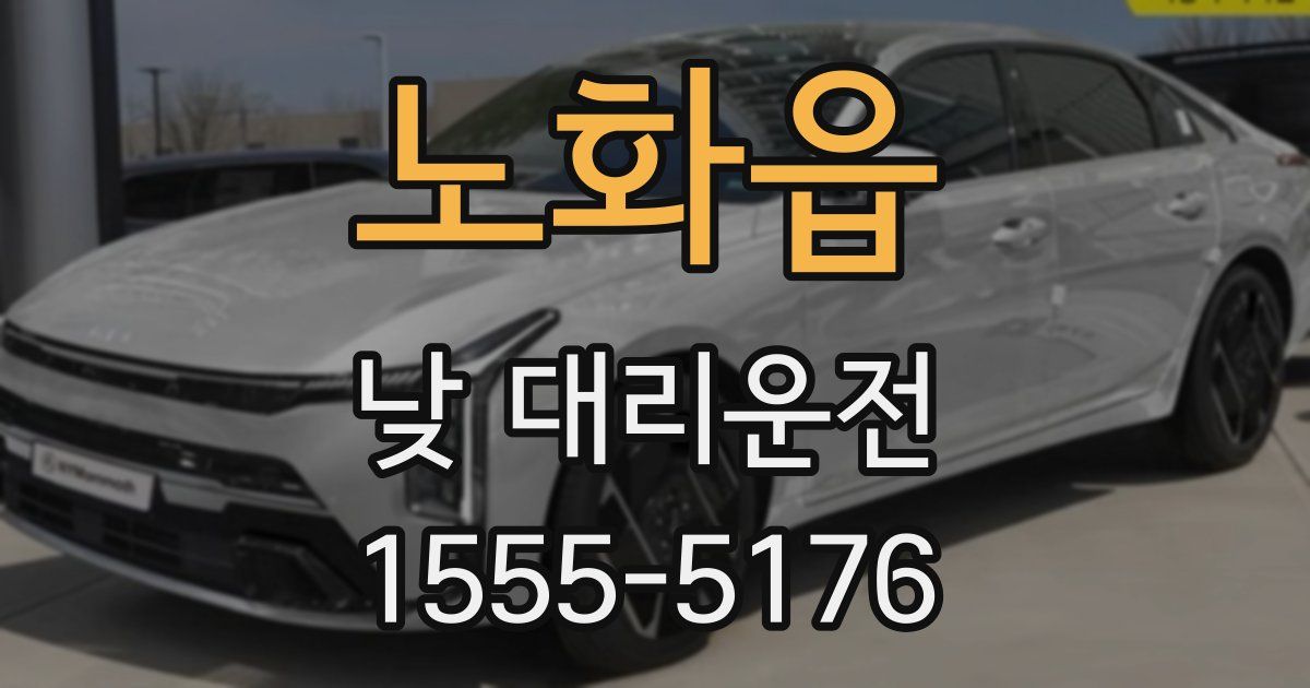 노화읍 낮 대리운전