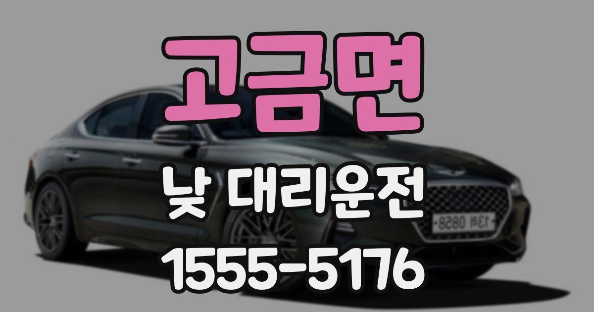 고금면 낮 대리운전