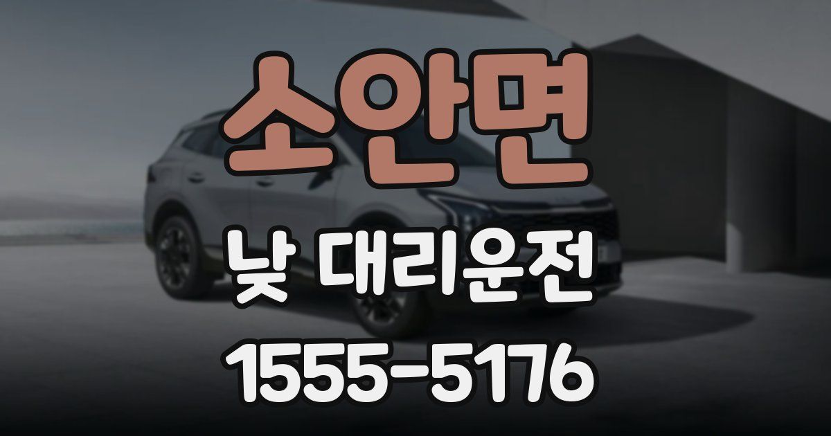 소안면 낮 대리운전