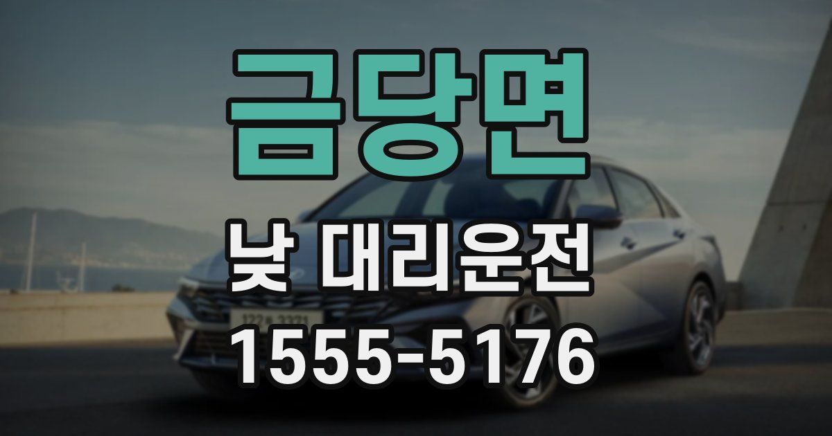 금당면 낮 대리운전