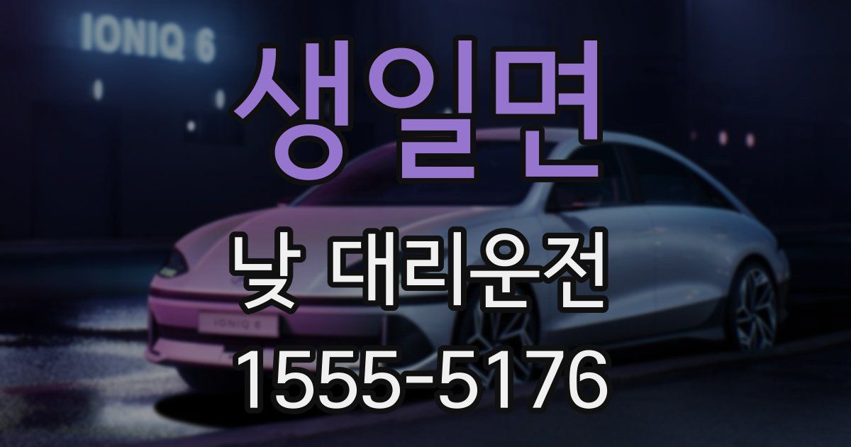 생일면 낮 대리운전