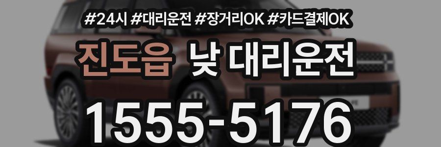 진도읍 낮 대리운전