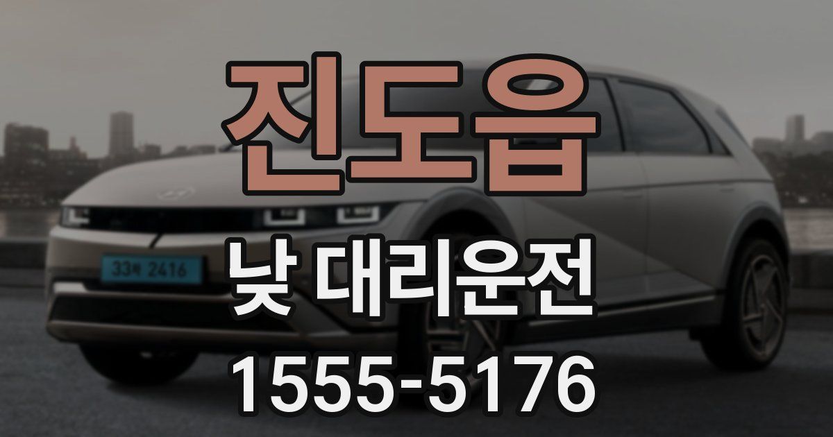 진도읍 낮 대리운전