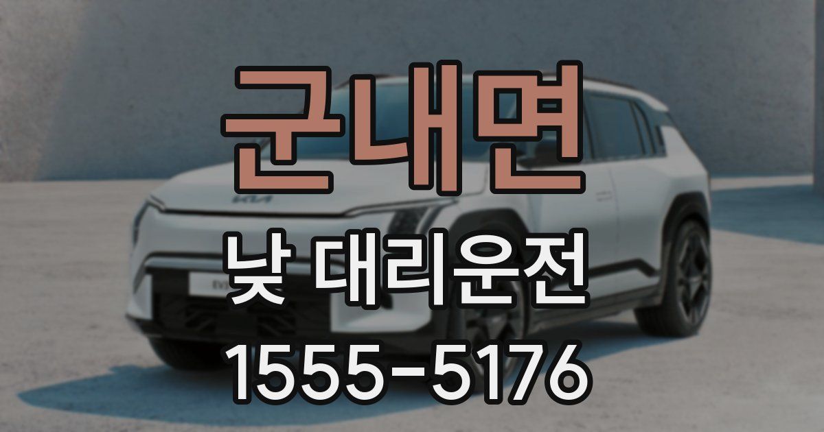 군내면 낮 대리운전