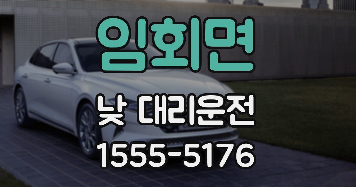 임회면 낮 대리운전