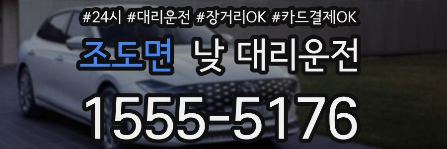 조도면 낮 대리운전