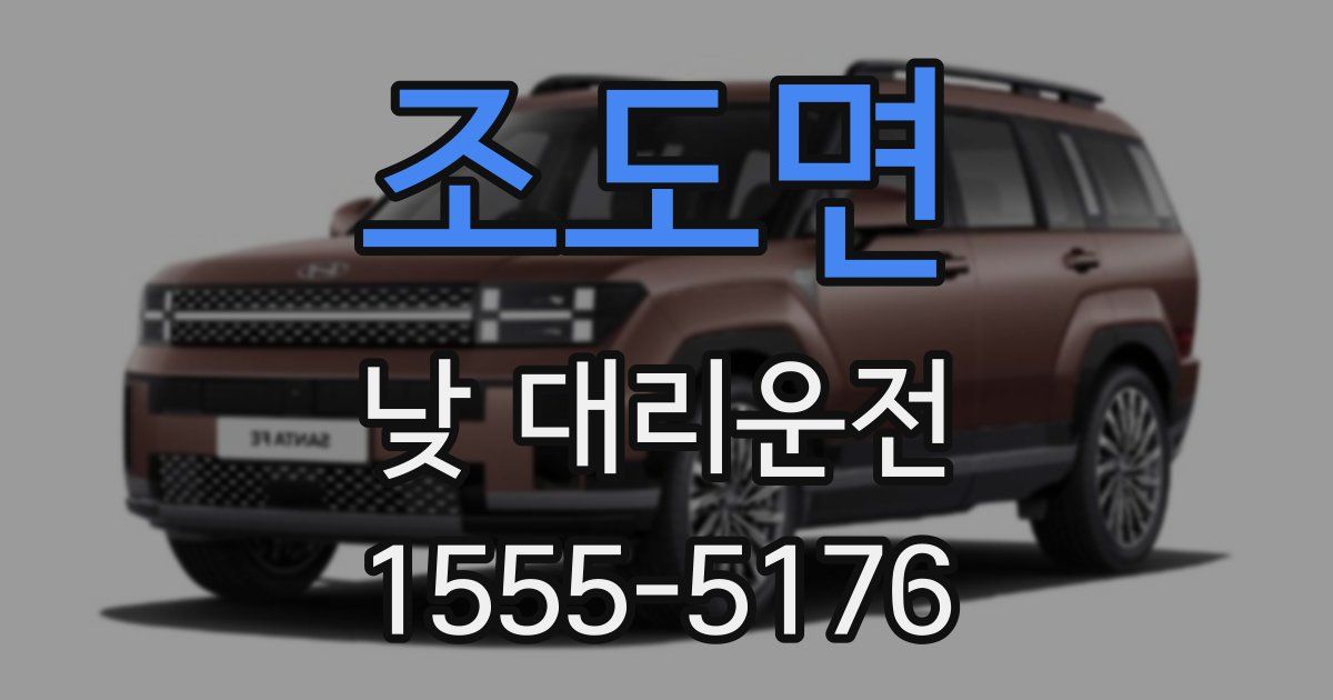 조도면 낮 대리운전
