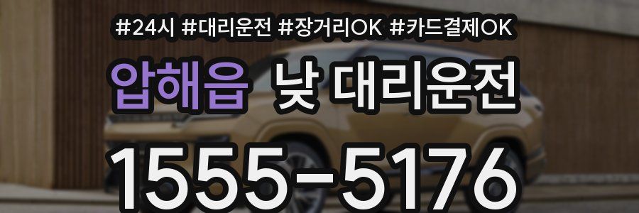 압해읍 낮 대리운전