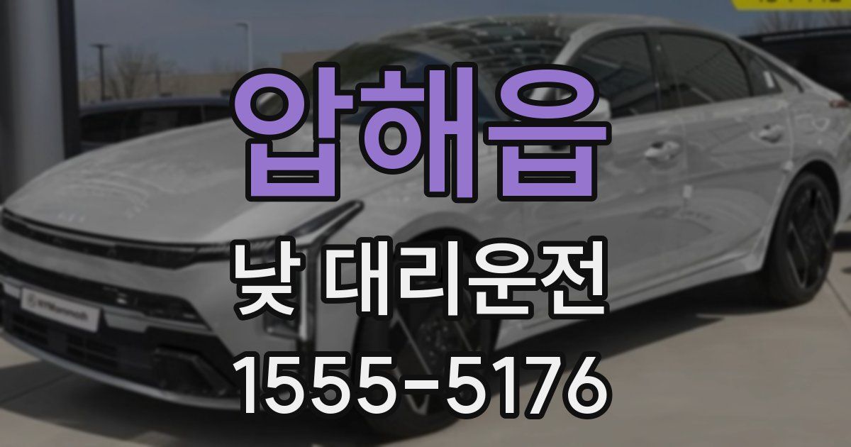 압해읍 낮 대리운전