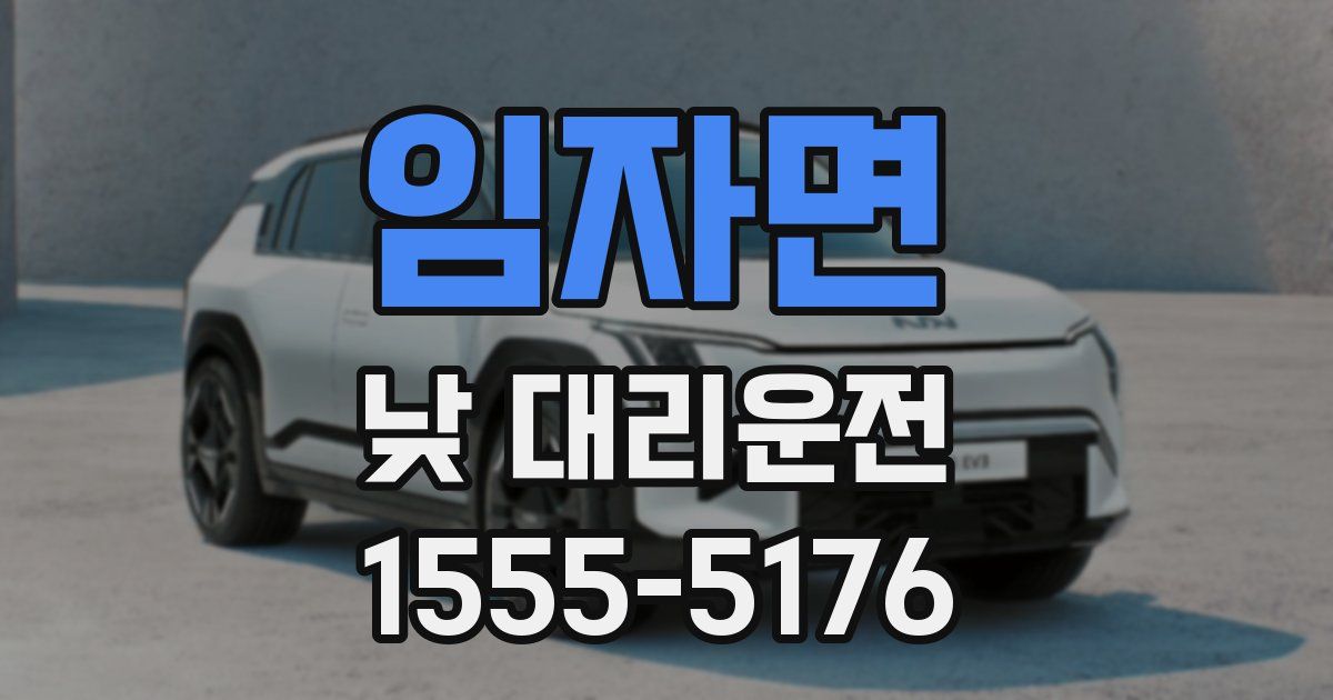 임자면 낮 대리운전