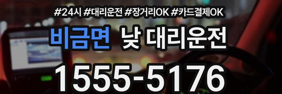 비금면 낮 대리운전