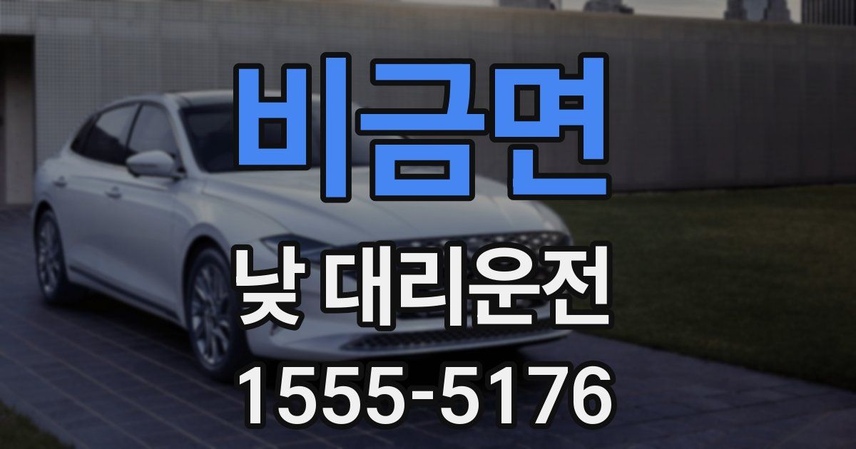 비금면 낮 대리운전