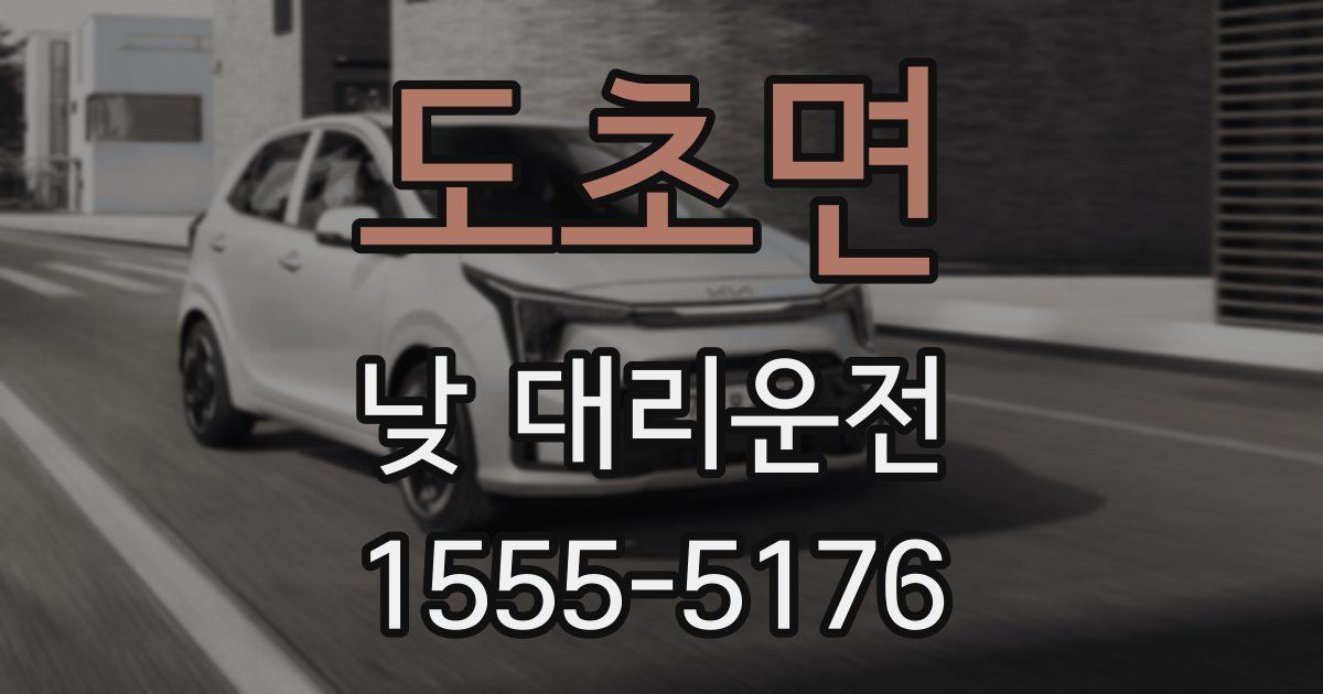 도초면 낮 대리운전