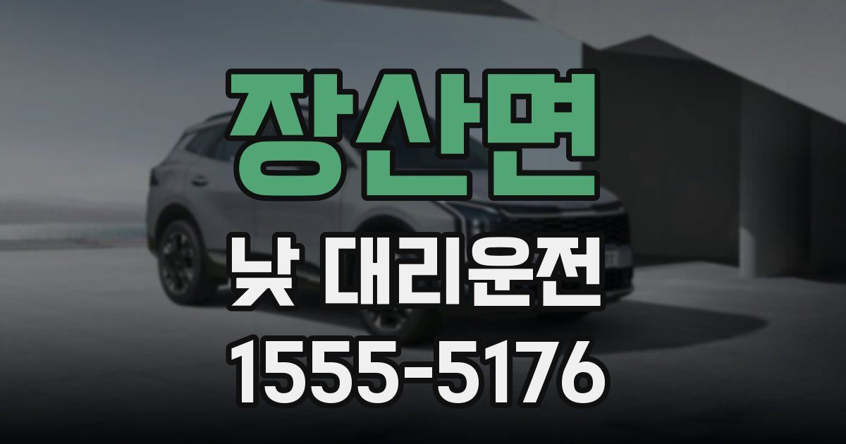 장산면 낮 대리운전