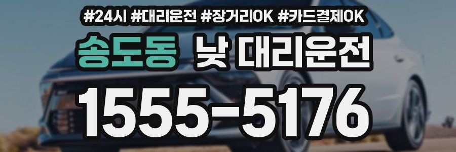 송도동 낮 대리운전