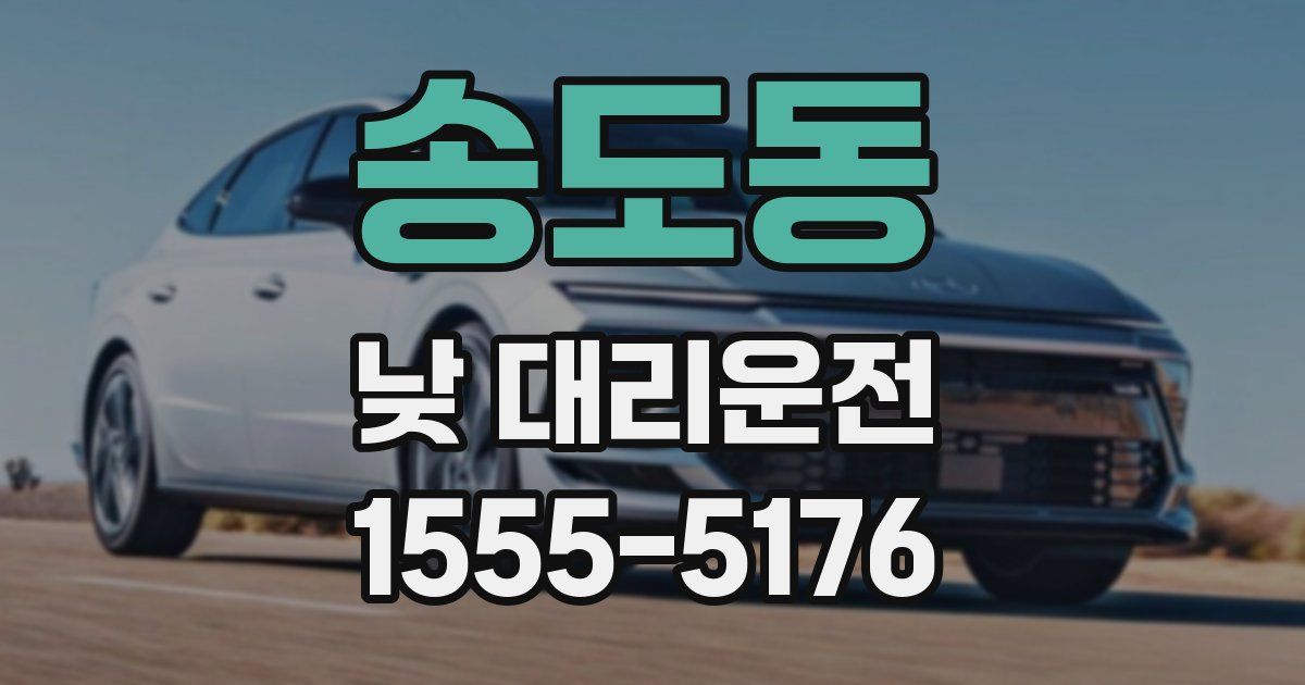 송도동 낮 대리운전