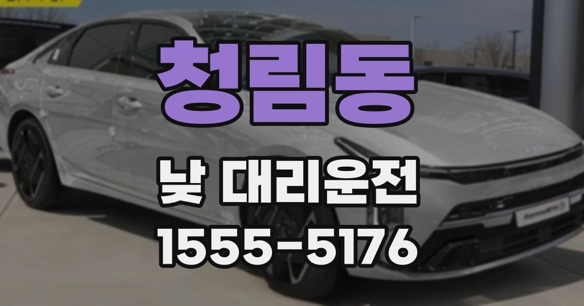청림동 낮 대리운전