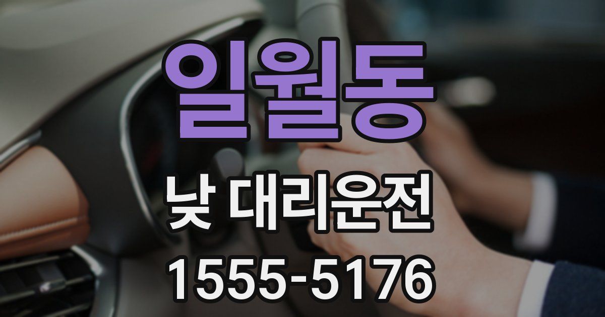 일월동 낮 대리운전