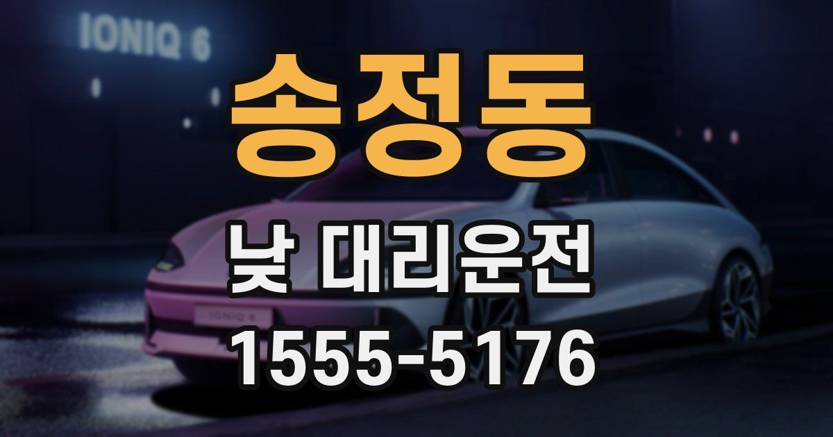 송정동 낮 대리운전