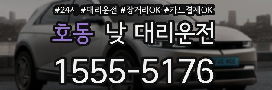 호동 낮 대리운전