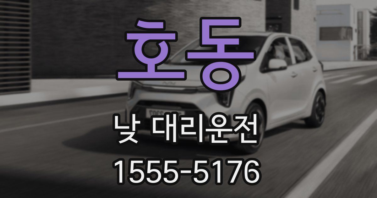 호동 낮 대리운전