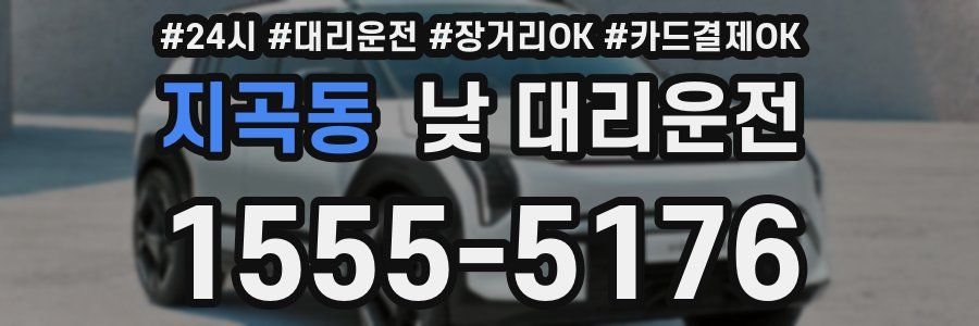 지곡동 낮 대리운전