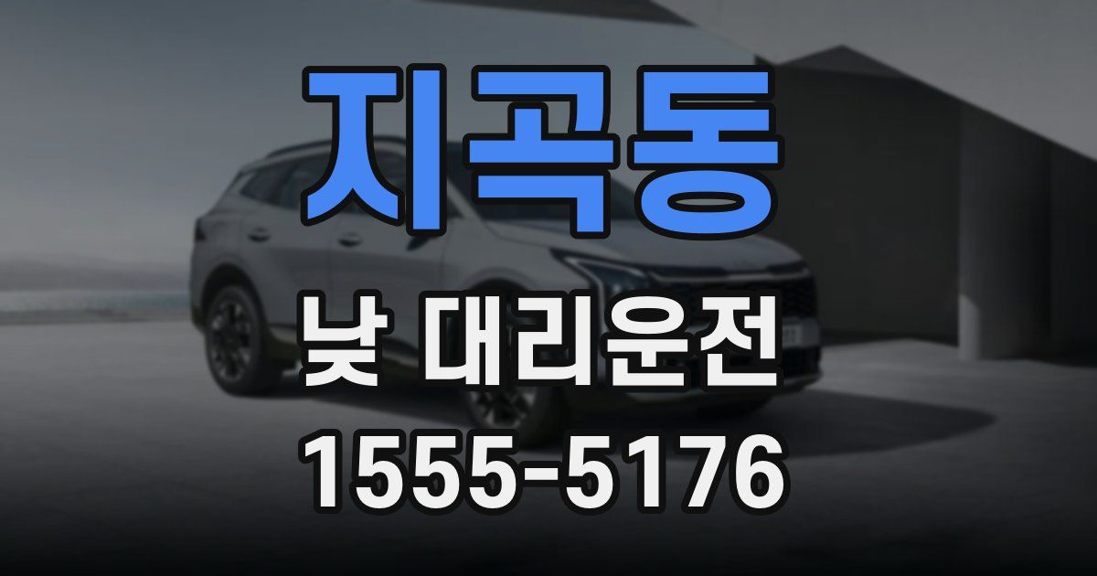 지곡동 낮 대리운전