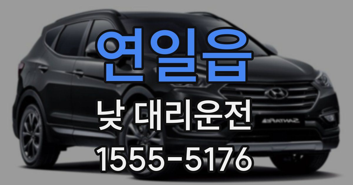 연일읍 낮 대리운전