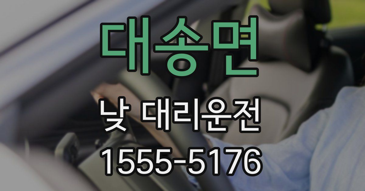 대송면 낮 대리운전