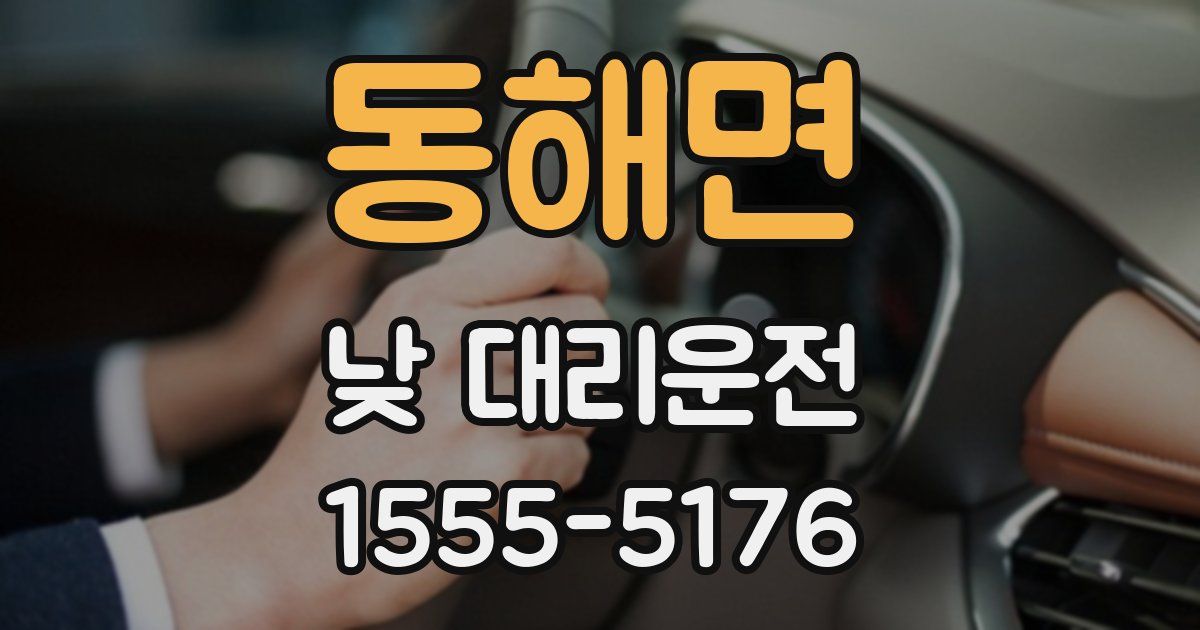 동해면 낮 대리운전
