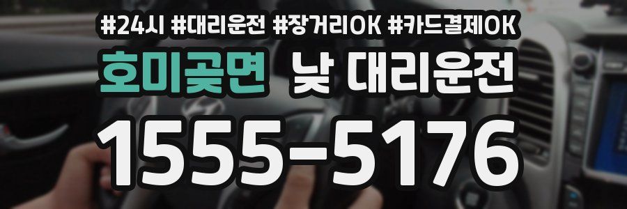 호미곶면 낮 대리운전