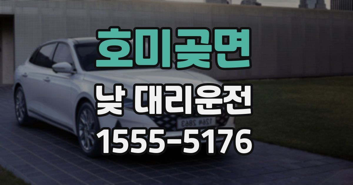 호미곶면 낮 대리운전