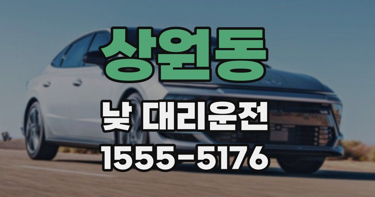 상원동 낮 대리운전