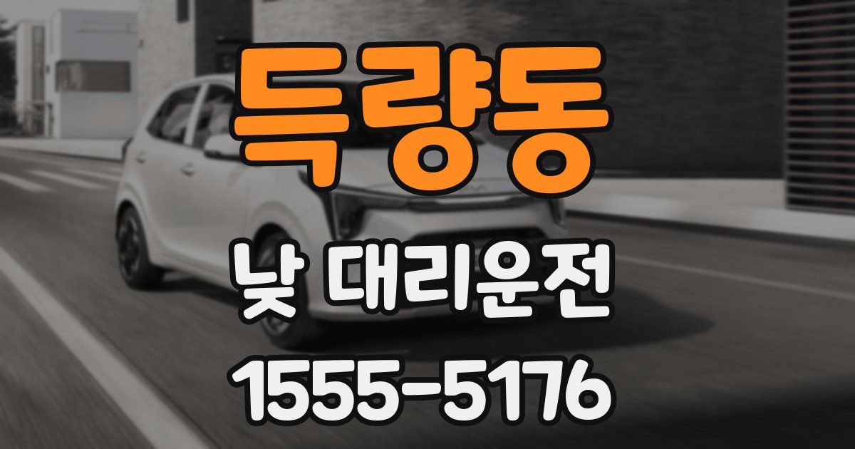 득량동 낮 대리운전