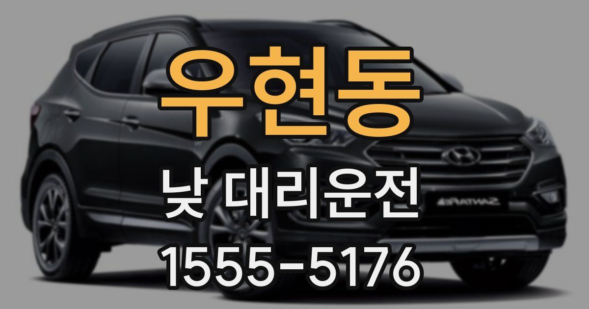 우현동 낮 대리운전