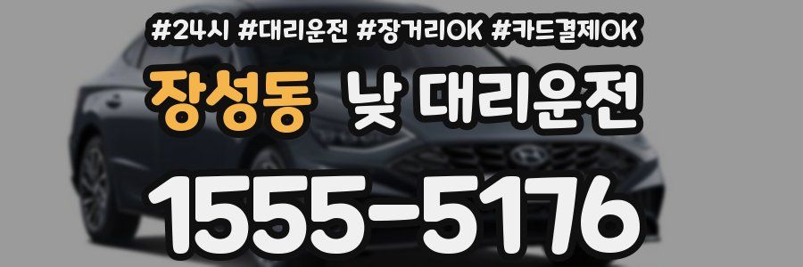 장성동 낮 대리운전